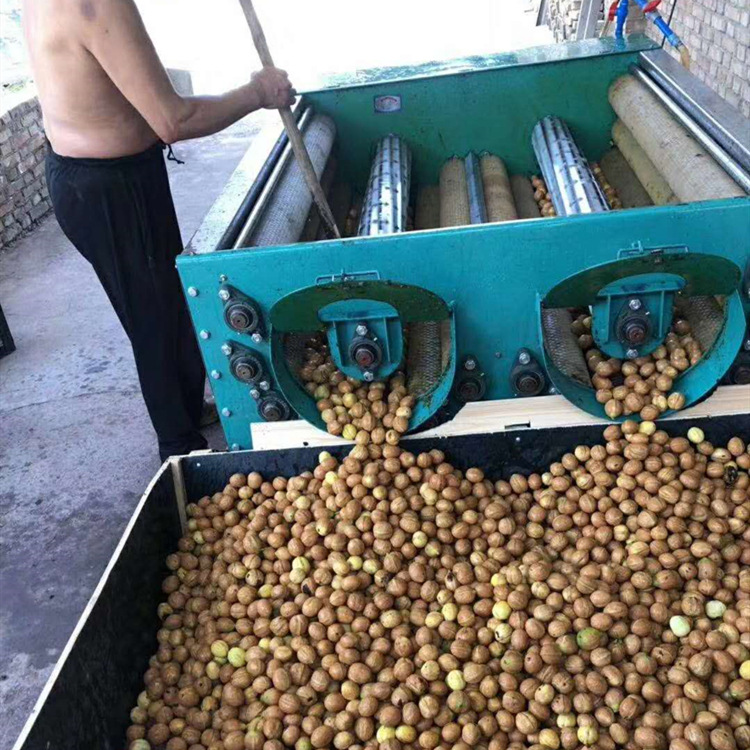 青核桃去皮机核桃脱皮机青核桃剥皮清洗一体机小型家用核桃扒皮机