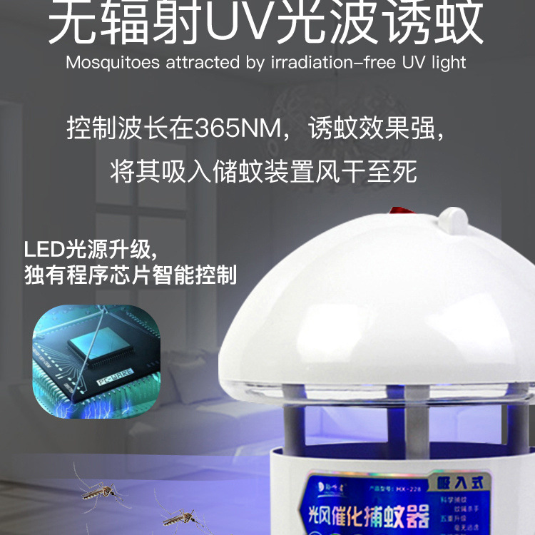 b502b338-5eed-4a35-b8ec-272589edccc5.jpg