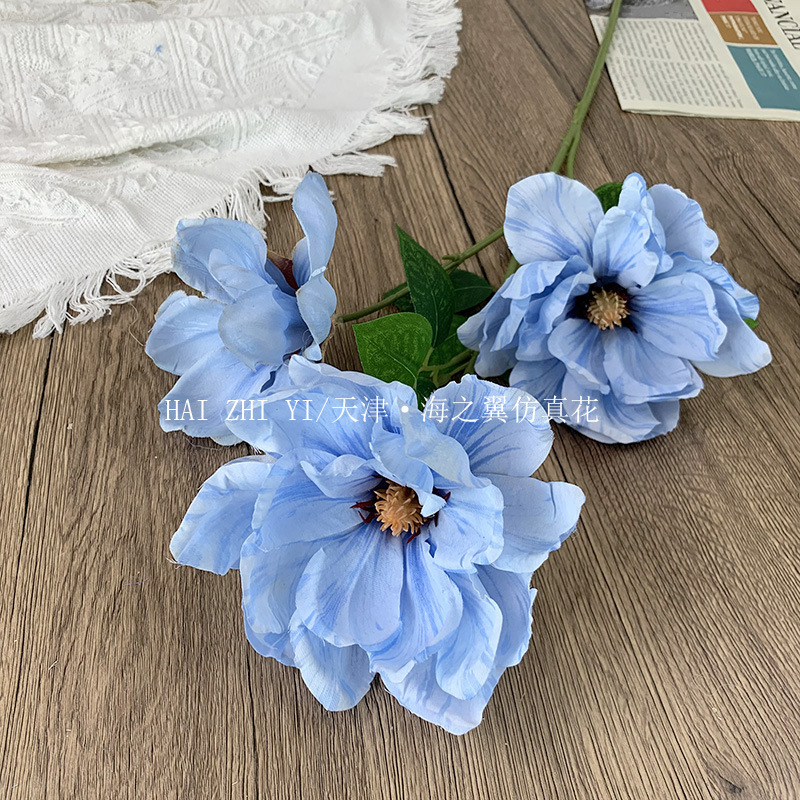 하늘색