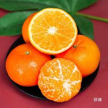 云南高山沃柑新鲜当季9斤大果水果 桔子橘子砂糖甜橘甜柑包邮整箱