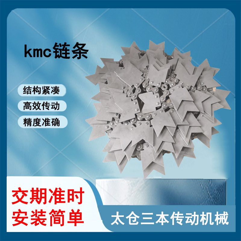 链条输送链条不锈钢双节距滚子链 滚子链 10A-G1 12A-G2 08B-G1