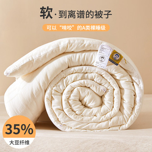 Winter Quilt Two-In-One Double Zipper Quilt Li Guanqi 35 Soy Fiber Quilt Pure Cotton Spring & Fall Quilt Super Soft