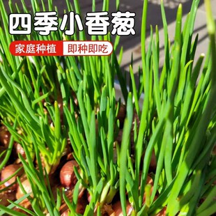 �ļ����[�^�NС���[�[�^�N�����Դ����̨�N�����Ĵ��t�[�^�����r