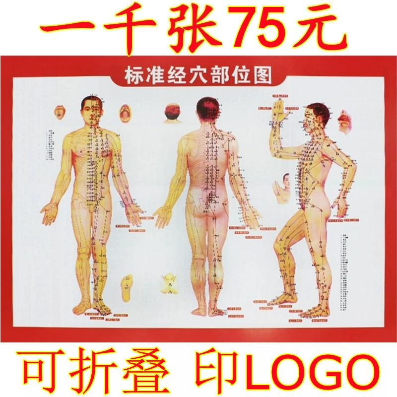Карта акупунктурных точек прижигания человеческого тела карта прижигания карта акупунктурных точек меридиана карта терапии Прижиганием баночная соскабливание карта Массажная карта
