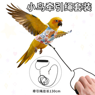 �����W�^�w���·�ĵ��С̫��B���B�����K�·������b��С����Ʒ