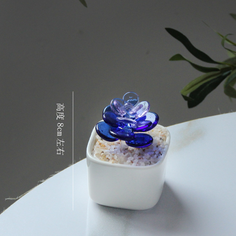 Carnoso - bicolor - azul rosa