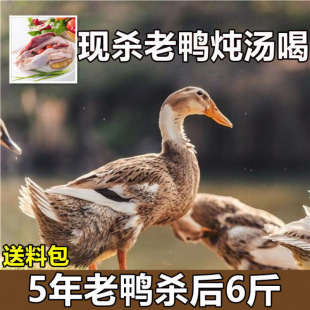 ��Sɢ�B���������������r��ˮ�B����������ֻ�������r�F������