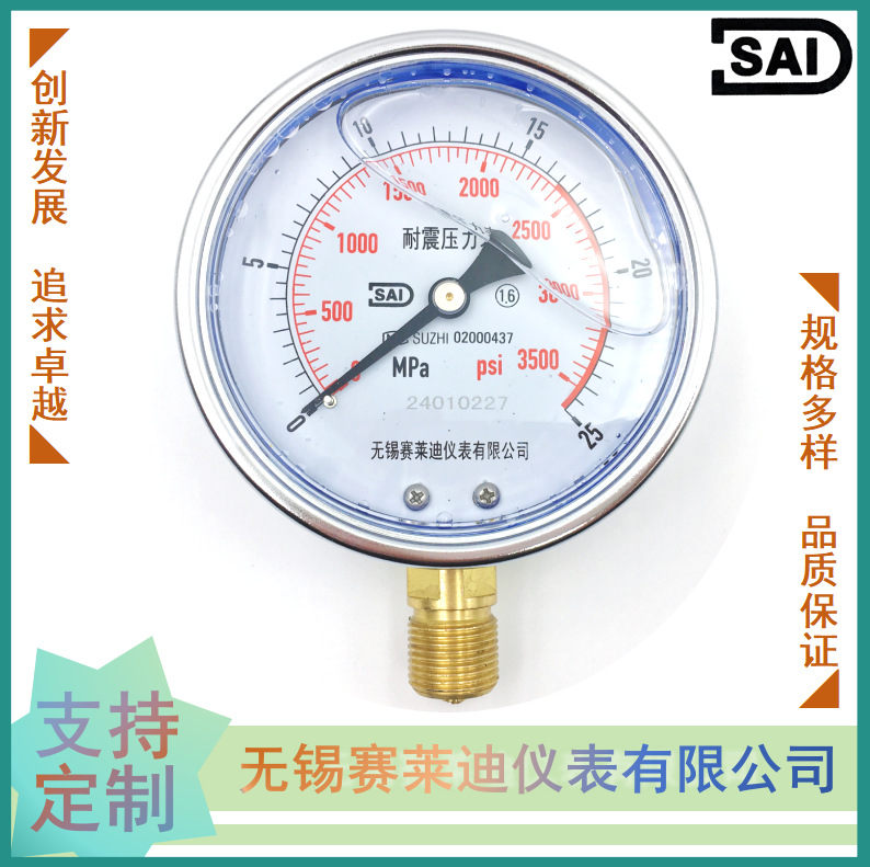 无锡赛莱迪厂家直销径向耐震压力表YN-100