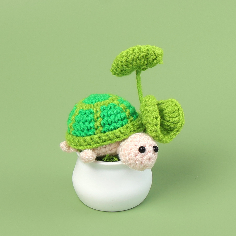 Tortuga en maceta - brotes verdes