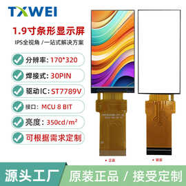 定制1.9寸170*320条形IPS点读笔家电储能显示手持仪器液晶显示屏