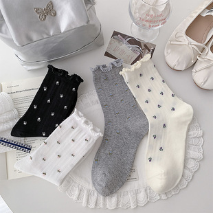 2026�����m��Ů�o�ǿp����ϵ�黨�W��͸���и�Ͳ���mľ��߅�Ѷ��m