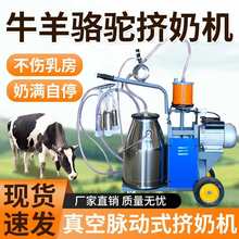 ţD̙CţĸȫԄձÔDƛ_ʽDD