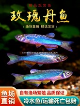 õ�嵤�~���R�~��ˮ�~ԭ���~��ˮ���С��Ⱥ�Ο��~���ƽ𾀰��S��