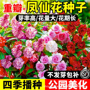�P�ɻ��N���ļ����N�_��ͥԺ�҃��⻨���쾰�ذ껨���̨���ԷN��