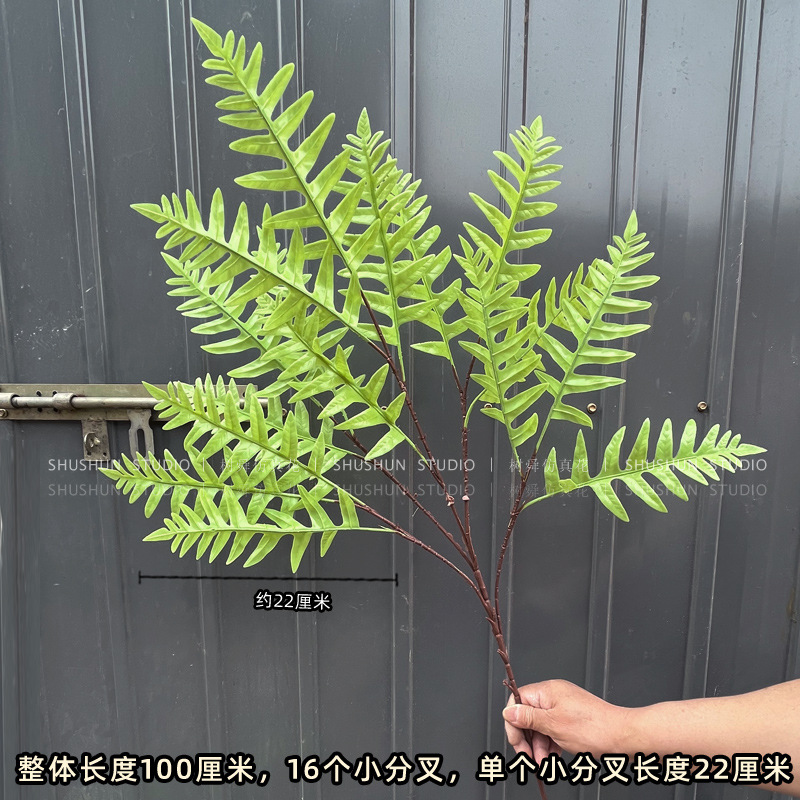 Rama alta 16 Tenedor Big Cypress hoja-verde claro