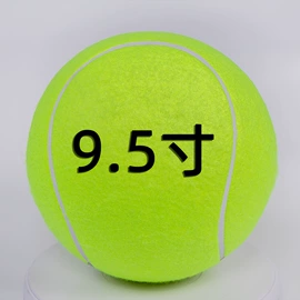 棒球;球网;防潮/野餐垫