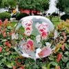 Internet celebrity printing transparent wave ball double -sided printed wave ball wedding festival party supplies