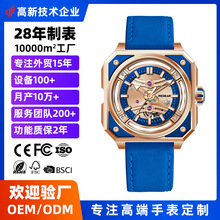 2025¿Ƥ߶ֱȫԶʿοջе߼ҹװ