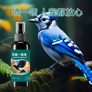 �Bʭһ���`�W�^�w���ȥ���F�B��ʭ�\�˸绢Ƥ���P�W�^��Ƥ