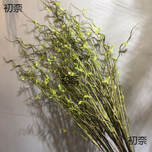 ��������� ��֦�����~�ӻ�ˇ�����ѿ��֧��֦���l��ˇ�Ҿ��b�