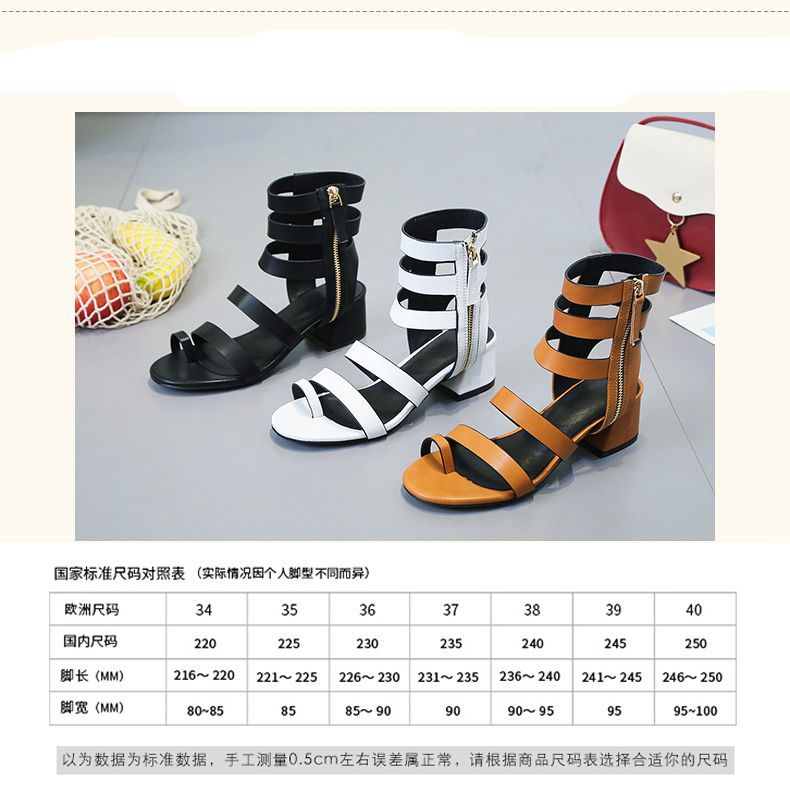 2019031919541721767615_副本