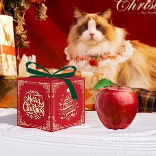 Christmas Gift Box Apple Packaging Box Christmas Fruit Christmas Eve New Gift Ribbon Portable Gift Box in stock
