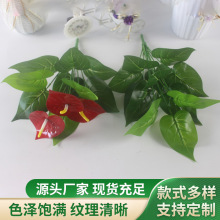 12^3Сtƻ ָзϻ ֲﱳ 辰bٽ