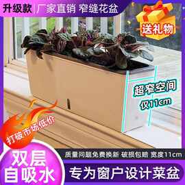 超窄长条花盆储水窗台种植盆家庭蔬菜种植箱长方形花箱阳台花盆