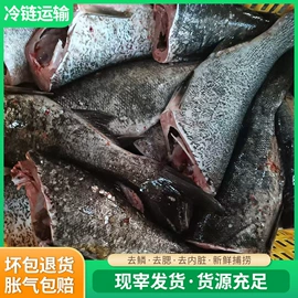 鱼类;鲜/活禽类