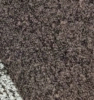 SY12383-19