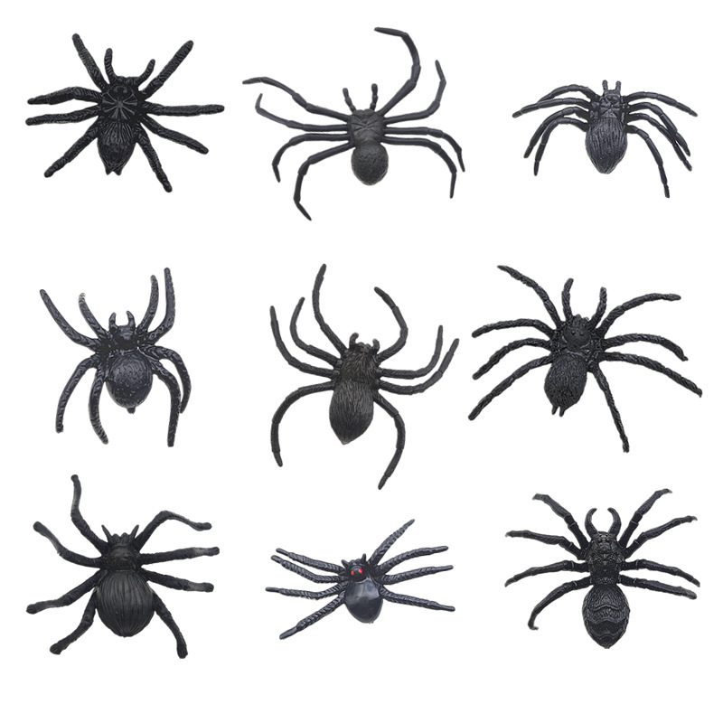 Red-Eyed Spider Image 5