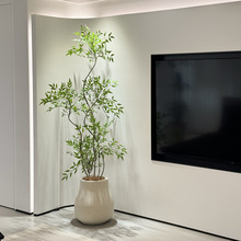 ���羰Ʒ���������Gֲ�҃ȿ͏d�����٘�߶��p�ݻ������������