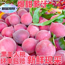 【精选】红宝石黑美人脆桃子新鲜水果毛桃当季正宗甜脆桃孕妇批发