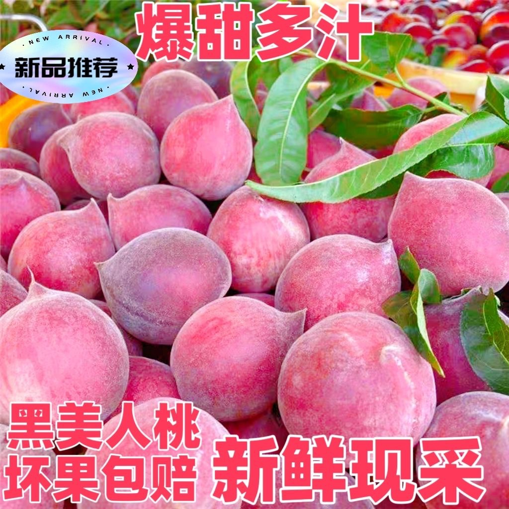 【精选】红宝石黑美人脆桃子新鲜水果毛桃当季正宗甜脆桃孕妇批发