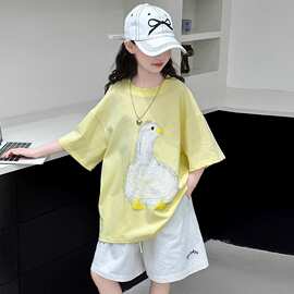 女童夏装T恤套装2025新款洋气女大童夏款短袖t恤儿童夏季休闲短裤
