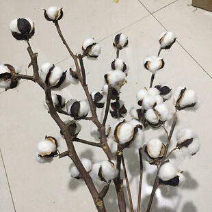 ľ�޻��ɻ��滨��֦������diy��������ins�L�͏d�Ҿ��޻��b�