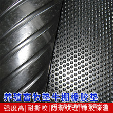 �i�������|���z���ؿ�˺����ĥ�Bֳ��ţȦ�B�R���A�c�������z�|