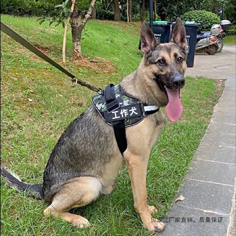边牧专用牵引绳夜行灯遛狗灯胸背带中大型马犬杜宾德牧晚上发光灯|undefined