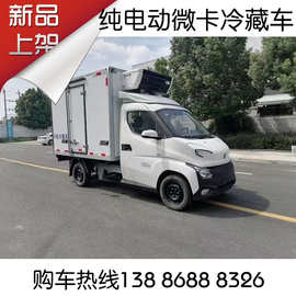 深圳市纯电动微卡货车 新能源冷冻食品车 疫苗药品物品运输车