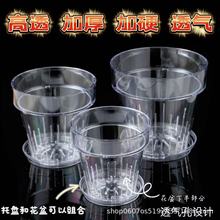 ll高透明圆形加厚透气塑料桌面壁挂花盆适合蝴蝶兰文心兰阳台客厅