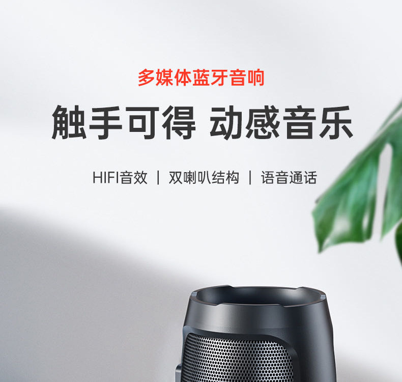 Bluetooth Wireless Speaker