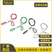 供应不锈钢钢丝绳压制不锈钢端子钢丝绳镀锌包胶钢丝绳吊灯钢丝绳