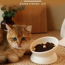 猫碗陶瓷斜口保护颈椎狗食盆宠物猫咪喝水饭碗慢食猫粮防打翻