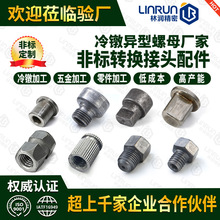 非标螺丝加工 小冷墩件加工 多功位冷镦冷打加工非标六角螺丝螺母