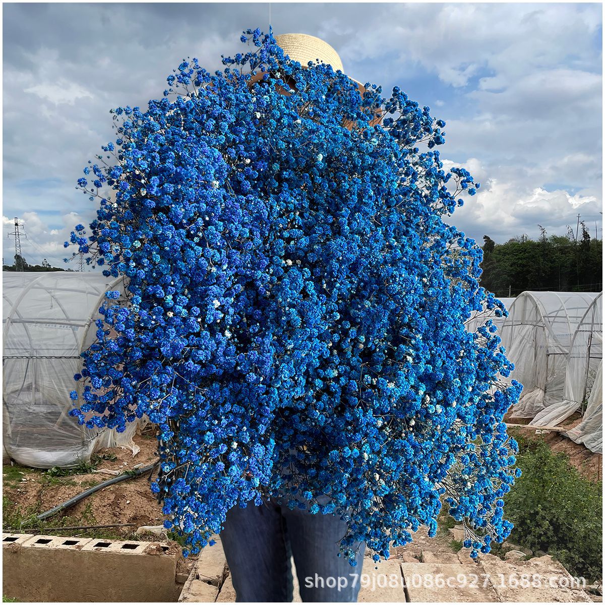 사파이어블루(450g)±30g