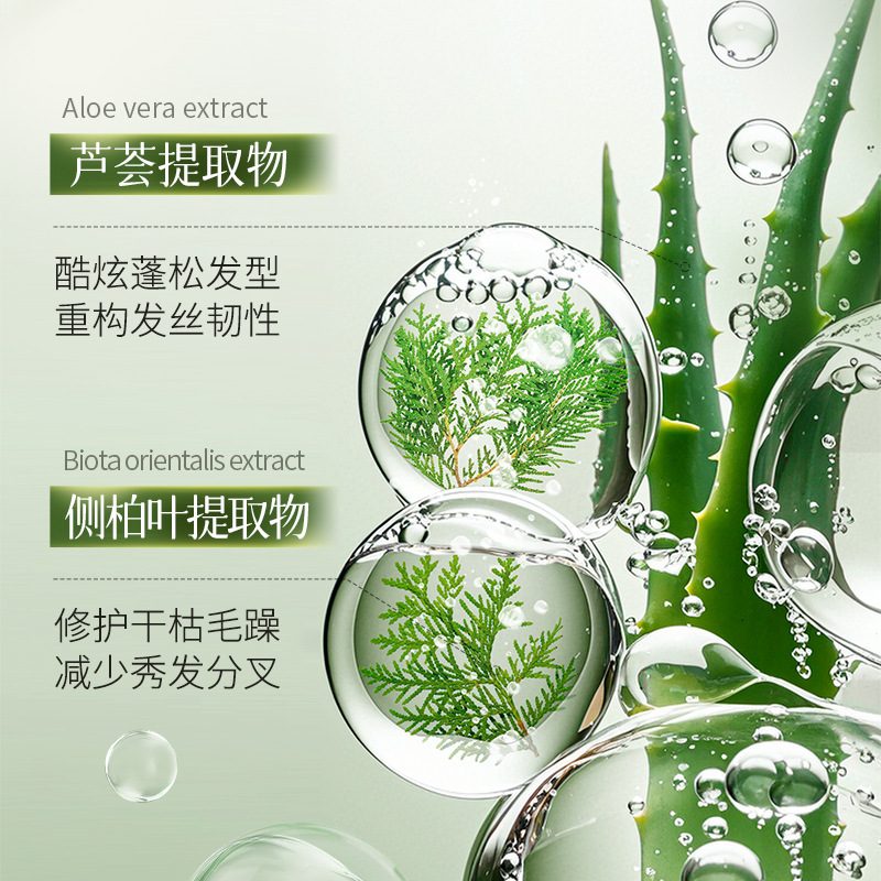 Bai Zhen Tang Bai Ye Jing Aloe Shampoo Refrescante Loosen Lotion Limpieza Profunda Humectante Shampoo para el Cabello Reparación
