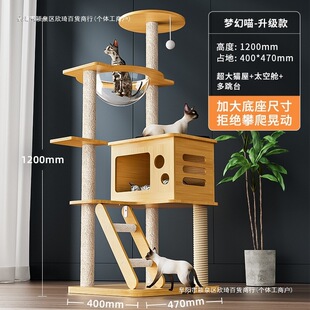 ռ����̨ľ؈һ�w�ӌ�ͨ��̫��œ��؈����؈�C؈�䲻؈ץ��؈���]
