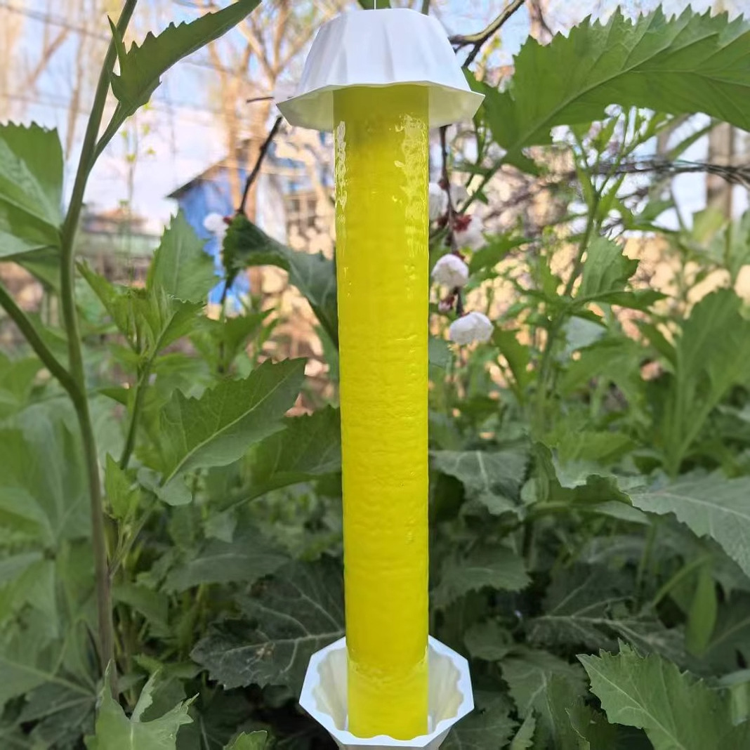 Horticultural Fruit Fly Trap Small Flying Insect Killing Cardboard Garden Outdoor Insect Repelling Flies Sticky Fly Paper Sticky Sticky Sticky Sticky Sticky Sticky Sticky Sticky Sticks
