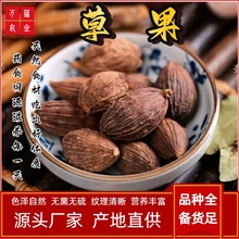 草果云南特产大果香料炖肉新鲜家商用整颗草果卤料厨房调味品批发