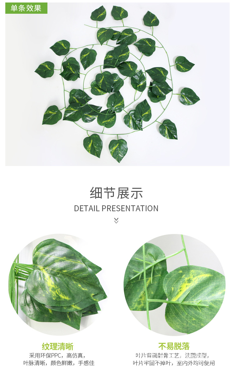 36叶藤条_11.jpg